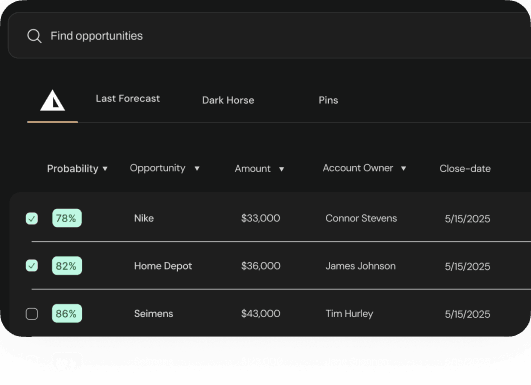 Dashboard mockup showing sales opportunities
